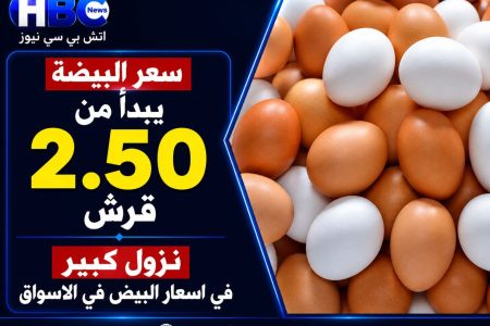 نزول كبير في أسعار البيض بالأسواق.. وسعر البيضة يبدأ من 2.50 جنيه