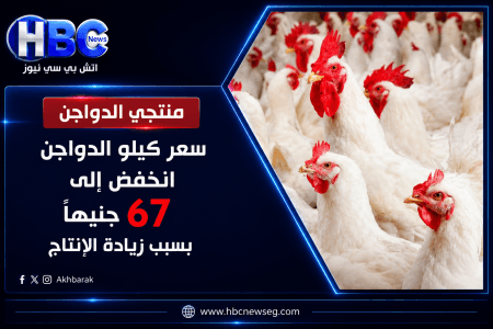 تراجع كبير في أسعار الدواجن اليوم والكيلو بـ67 جنيها