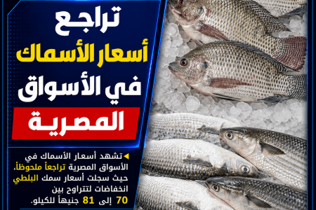 تراجع أسعار الأسماك في الأسواق المصرية مع زيادة المعروض