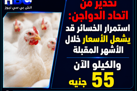 اتحاد الدواجن يحذر من ارتفاع الأسعار بسبب خسائر المربين