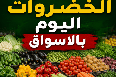 أسعار الخضروات اليوم في الأسواق المصرية.. الطماطم تسجل 25 جنيهًا للكيلو