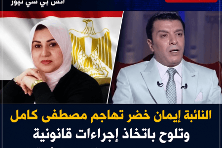 النائبة إيمان خضر تهاجم مصطفى كامل بسبب تصريح مسيء عن الشرقية