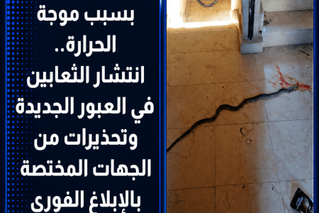 تحذيرات من انتشار الثعابين في العبور الجديدة بسبب موجة الحرارة