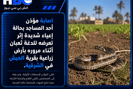 إصابة مؤذن مسجد بلدغة ثعبان أثناء مروره بأرض زراعية في الشرقية
