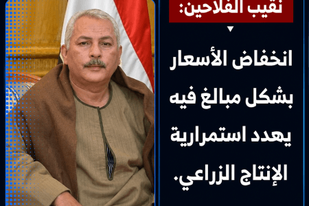 نقيب الفلاحين: الانخفاض الحاد في الأسعار يهدد استمرارية الإنتاج الزراعي
