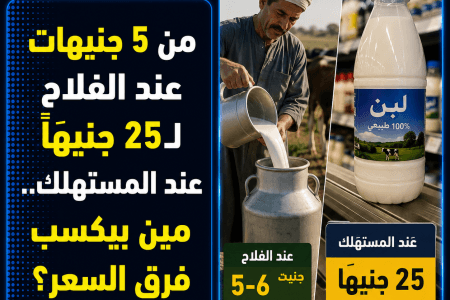 نقيب الفلاحين: كيلو اللبن يخرج من المزرعة بـ5 جنيهات ويصل للمستهلك بـ25 جنيهًا