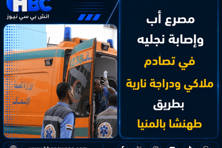 مصرع أب وإصابة نجليه في تصادم ملاكي ودراجة نارية بطريق طهنشا بالمنيا