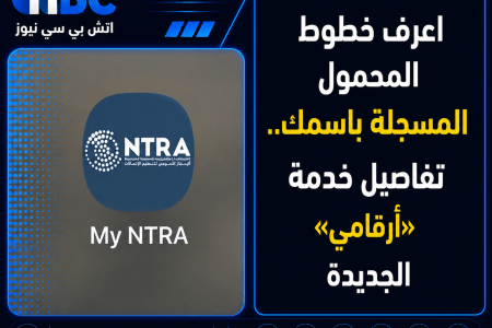 اعرف خطوط المحمول المسجلة باسمك.. تفاصيل خدمة «أرقامي» الجديدة