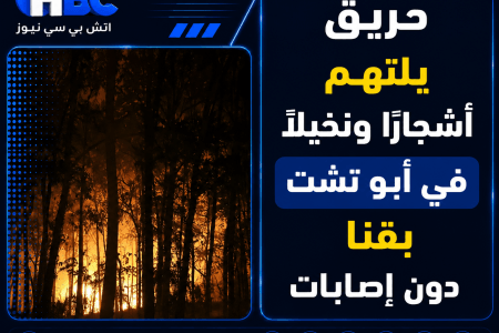 حريق يلتهم أشجارًا ونخيلًا في أبو تشت بقنا دون إصابات