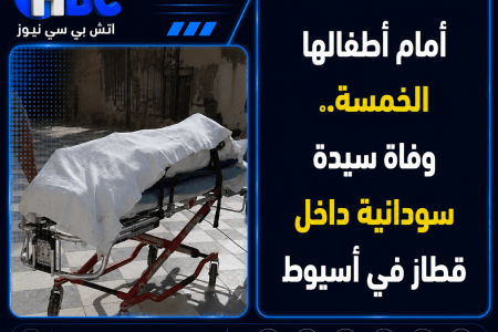 أمام أطفالها الخمسة.. وفاة سيدة سودانية داخل قطار في أسيوط