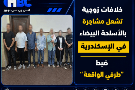 خلافات زوجية تشعل مشاجرة بالأسلحة البيضاء في الإسكندرية.. ضبط طرفي الواقعة