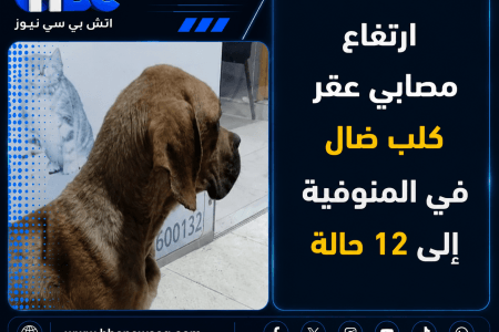 ارتفاع مصابي عقر كلب ضال في المنوفية إلى 12 حالة