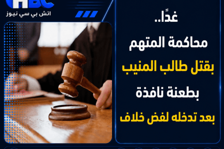 غدًا.. محاكمة المتهم بقتل طالب المنيب بطعنة نافذة بعد تدخله لفض خلاف