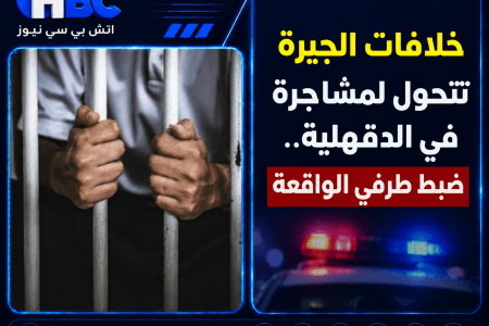خلافات الجيرة تتحول لمشاجرة في الدقهلية.. ضبط طرفي الواقعة