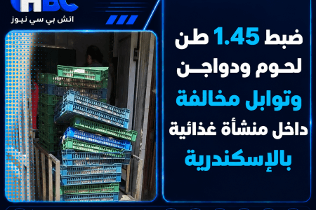 ضبط 1.45 طن لحوم ودواجن وتوابل مخالفة داخل منشأة غذائية بالإسكندرية