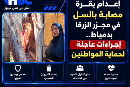إعدام بقرة مصابة بالسل في مجزر الزرقا بدمياط.. إجراءات عاجلة لحماية المواطنين