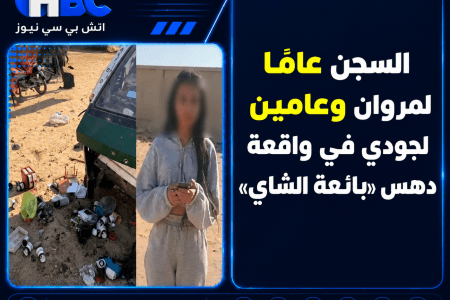 السجن عامًا لمروان وعامين لجودي في واقعة دهس «بائعة الشاي»